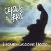 LIQUID GROOVE MOJO: Cradle To The Grave