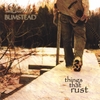 LIANA BUMSTEAD: Things That Rust