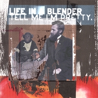 Life In A Blender : Tell Me I'm Pretty