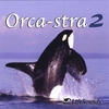 LIFESOUNDS: Ocra-stra 2