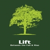 LIFT: Between the Fall & Rise