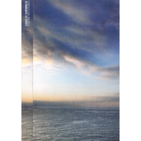 LIGHT OF SHIPWRECK: From the Idle Cylinders