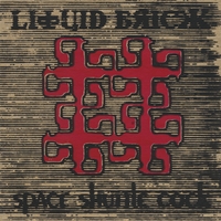 Liquid Brick : Space Shuttle Cock