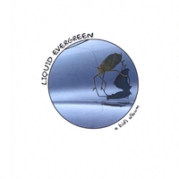 LIQUID EVERGREEN: A Kid's Album