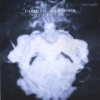 Liquid Mind : Liquid Mind VII: Reflection
