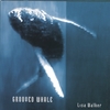 LISA WALKER: Grooved Whale