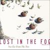 LOST IN THE FOG: Not Far From The Tree