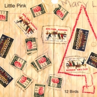 LITTLE PINK : 12 Birds