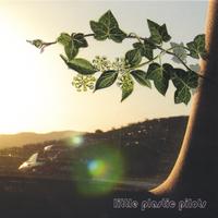 Little Plastic Pilots : Little Plastic Pilots