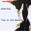 LITTLES PAIA: Dew On the Needles