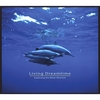 LIVING DREAMTIME: Exploring the Water Element