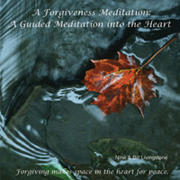 Nina and Bill Livingstone : A Forgiveness Meditation: A guided Meditation into the Heart