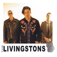 THE LIVINGSTONS: Holy Metal Box