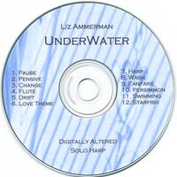 LIZ AMMERMAN: UnderWater