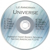 LIZ AMMERMAN: Universe