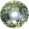 LIZ AMMERMAN: Passing Feeling