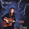 LIZ MEYER: The Storm