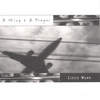 LIZZIE WANN: A Wing & A Prayer