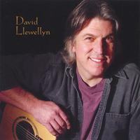 David Llewellyn : David Llewellyn