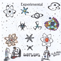 EXPERIMENTAL ASYLUM (A Soundtrack to the Movie In Your Mind)