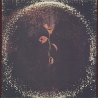 LAURA LOCKIE & CHARLES KING: the Second Half