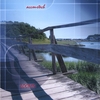 LOOMIS: Accoustech