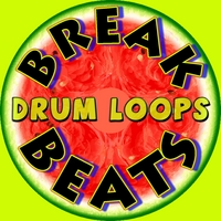 99 Smokin Hot Drum Loops, Beats and Samples : Break Beats