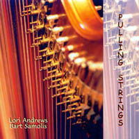 Lori Andrews : Pulling Strings