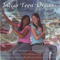 Indigo Ocean Dreams 4 Children's Stories Designed to Decrease Stress  Anger and Anxiety while Increasing Self Esteem and Self Awareness