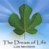 LORI MECHEM: The Dream of Life
