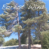 Greg Loskorn : Forest Wind