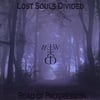 LOST SOULS DIVIDED: Road of Progression