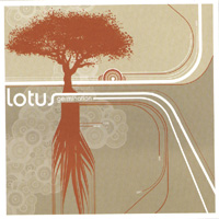 Lotus : Germination