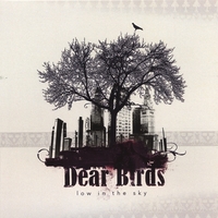 Low in the Sky : Dear Birds