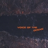 LUCA ZAMPONI: Voice Of The Ocean