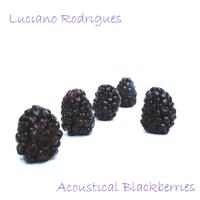 Luciano Rodrigues : Acoustical Blackberries