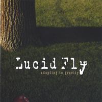 Lucid Fly : Adapting To Gravity