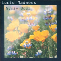Lucid Madness : Gypsy Soul