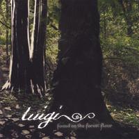 Luigi : Found on the Forest Floor