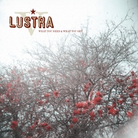Lustra : What You Need & What You Get