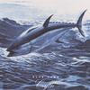 TOM LUTZ & BLUE TUNA: Cryin'