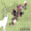 LUCAS VAN LENTEN: Slowpoke