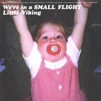 Little Viking : We're in a small flight