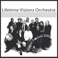 Lifetime Visions Orchestra : Vision Festival 2002