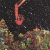 THE MAD CONDUCTOR: Renegade Space Rock
