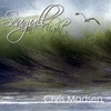Chris Madsen: Seagull In Flight