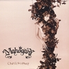 MAHOGANY: Christopher