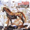 MAJOR BULLHORN: Growth And Repair