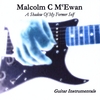 MALCOLM C MCEWAN: A Shadow Of My Former Self