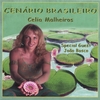 Album Cenario Brasileiro by Celia Malheiros